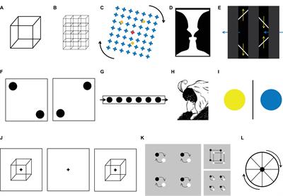 Bi-Stable Perception: Self-Coordinating Brain Regions to Make-Up the Mind